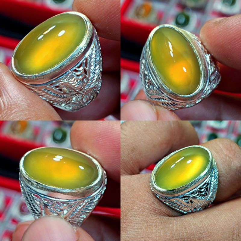 IDOCRASE BIO SOLAR ACEH HQ