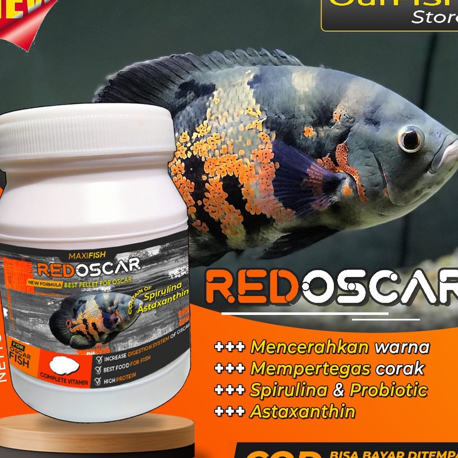 [KODE EBJDE] Pakan Ikan Oscar Pelet Makanan Oscar Premium Oscar Tiger Albino Batik Paris Tembaga Sla