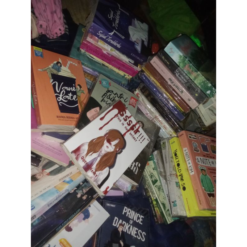 NOVEL MY YOUTH PRELOVED