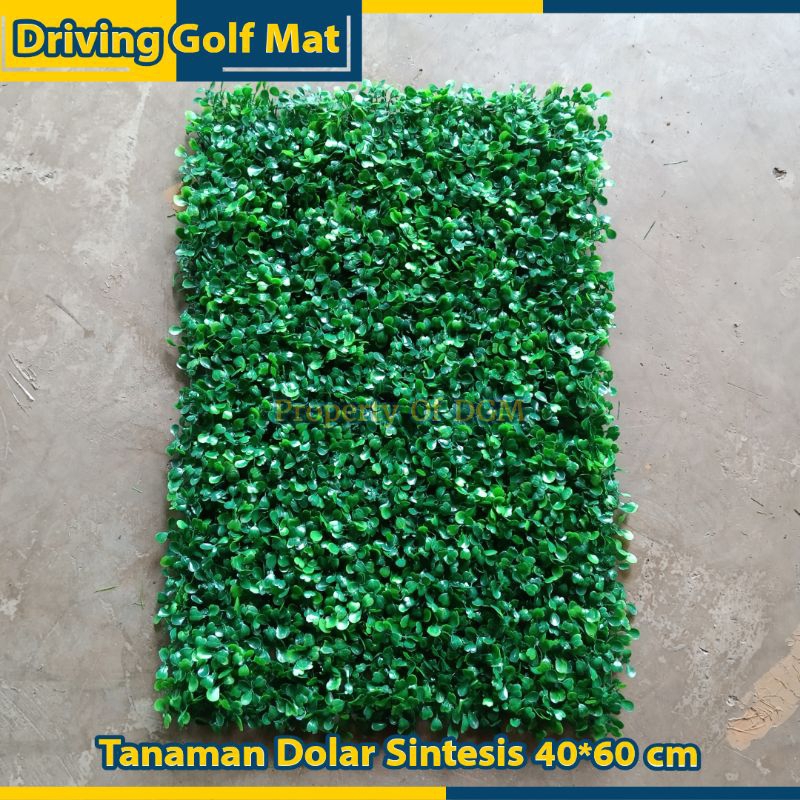 Tanaman Dolar Sintetis - Tanaman Rambat Dinding - Wallpaper Dinding - Tanaman Artificial