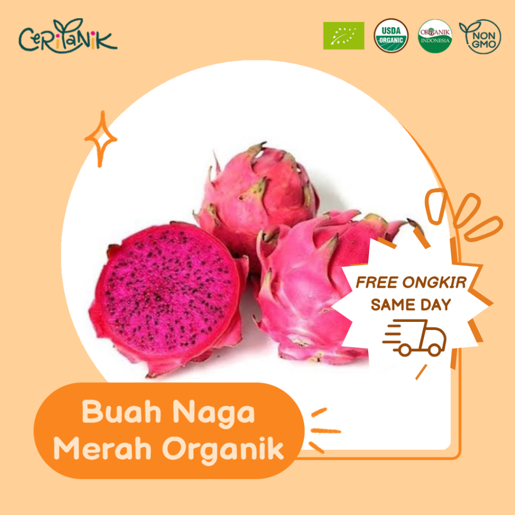 

Buah Naga Organik 500g - Ceritanik - Dragon Fruit Organic - Buah Organik Murah - Buah Organik Sehat - Buah Organik Premium