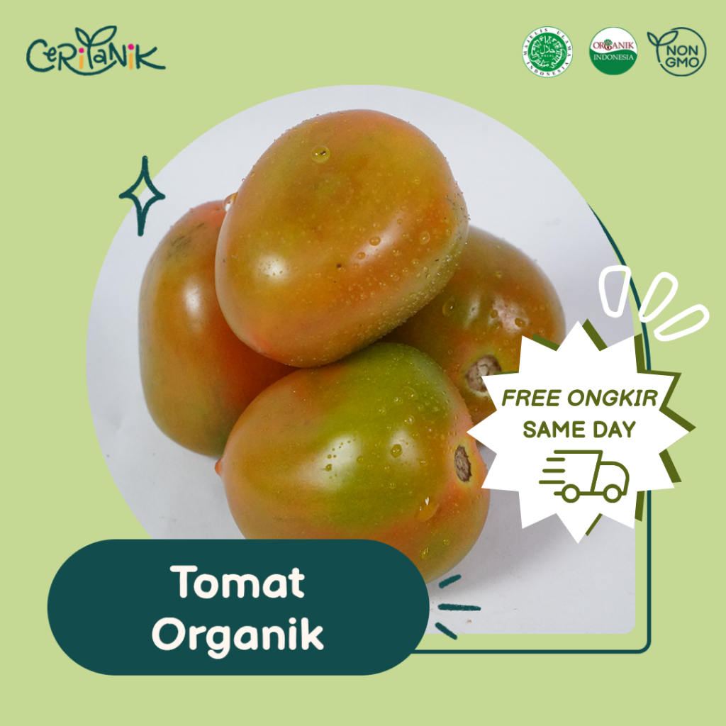 

Tomat Organik 500 gram - Ceritanik - Tomato Organic - Sayur Organik Murah