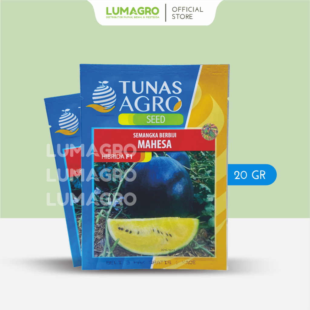 Benih Semangka Mahesa F1 20gr Hibrida Tunas Agro Bibit Semongko Kuning Tahan Virus