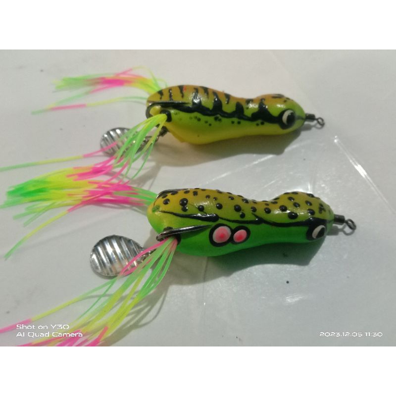 Lizard SF Killer JTR Lure