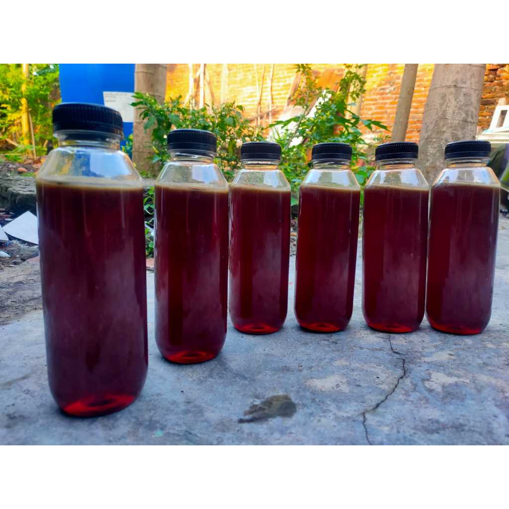 

Madu Asli Hutan Jambi