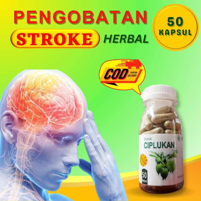Ciplukan Kapsul Obat Stroke Herbal Terapi Saraf Otak Epilepsi Kejang Ayan Alzheimer Isi 50