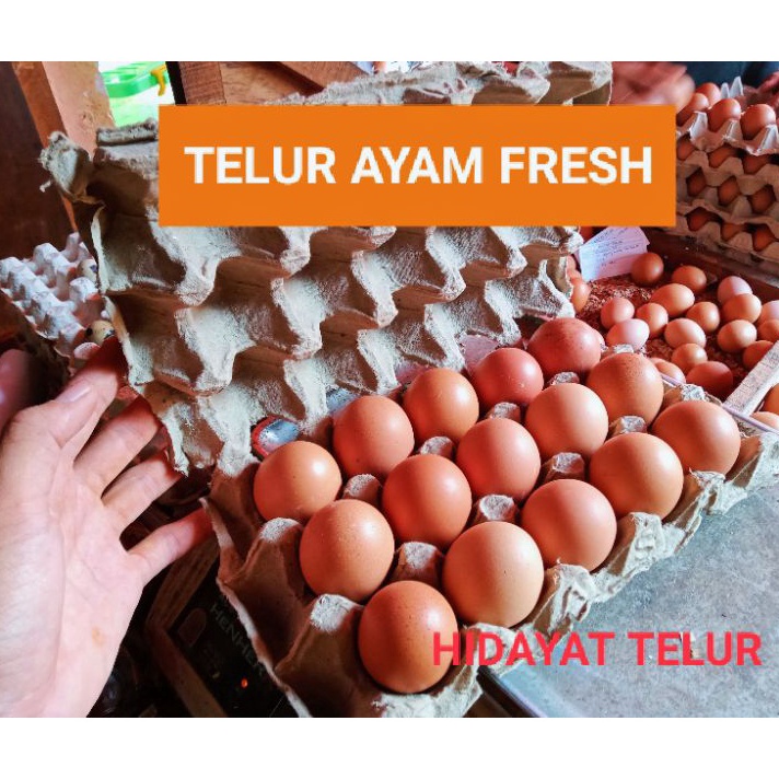 

Dijual Murah TELUR AYAM NEGERI PER 15 BUTIR Produk