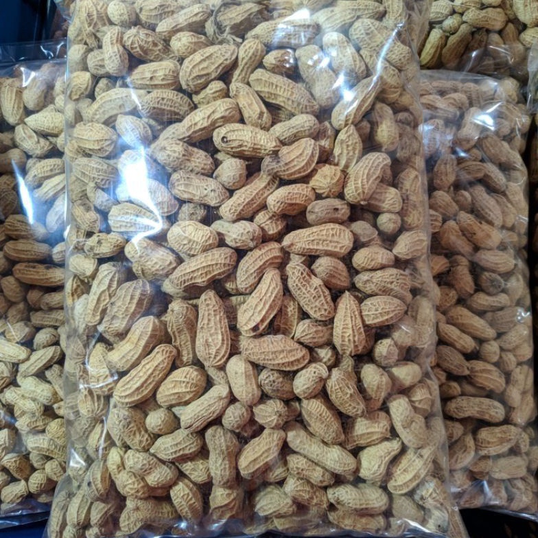 

[☯M88$] KACANG KULIT SANGRAI 1KG/KACANG BAKAR 1KG/ KACANG RENYAH/ KACANG MURAH/KACANG KILOAN/AGEN SNACK Kualitas Terjamin