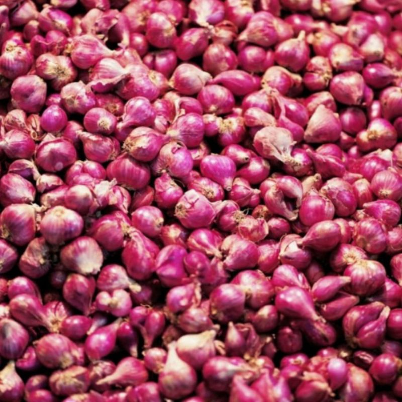 

bawang merah 1 kg