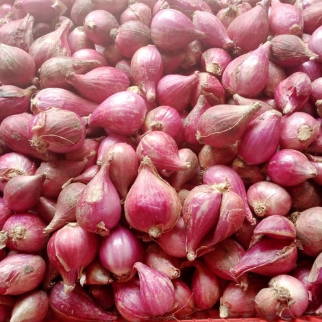 

[KODE TDKUP] Bawang Merah Brebes Utuh Ukuran 1Kg / 500gr