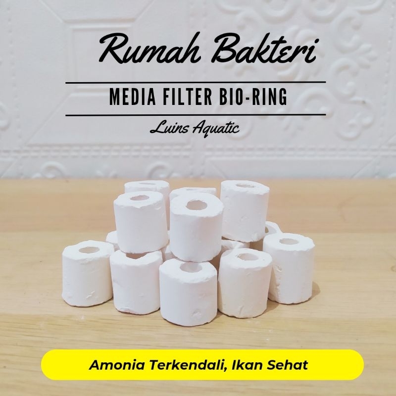 BioRing Bio Ceramic Ring Keramik Filtrasi biologis biologi Media Filter Kolam Aquarium Tank Ikan Rumah Bakteri Baik Pori Berpori Halus Kecil Per Pcs Ukuran diameter 2 cm