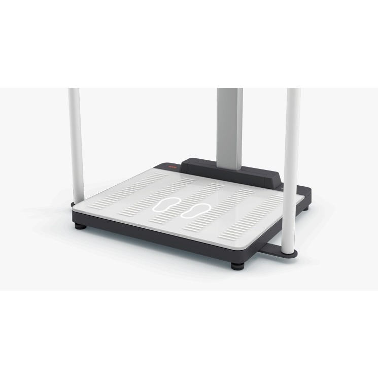 SECA Scale Up Line 654 Timbangan Seca 654  Seca Scale-up Line