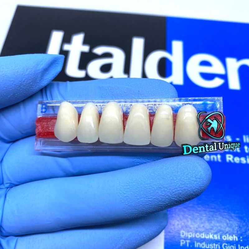 ADY78 Gigi palsu italdent Perbox italdent depan atas Anterior Atas