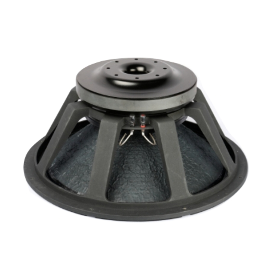 Speaker ACR 21in PA 127212 SW FAB BY ACR