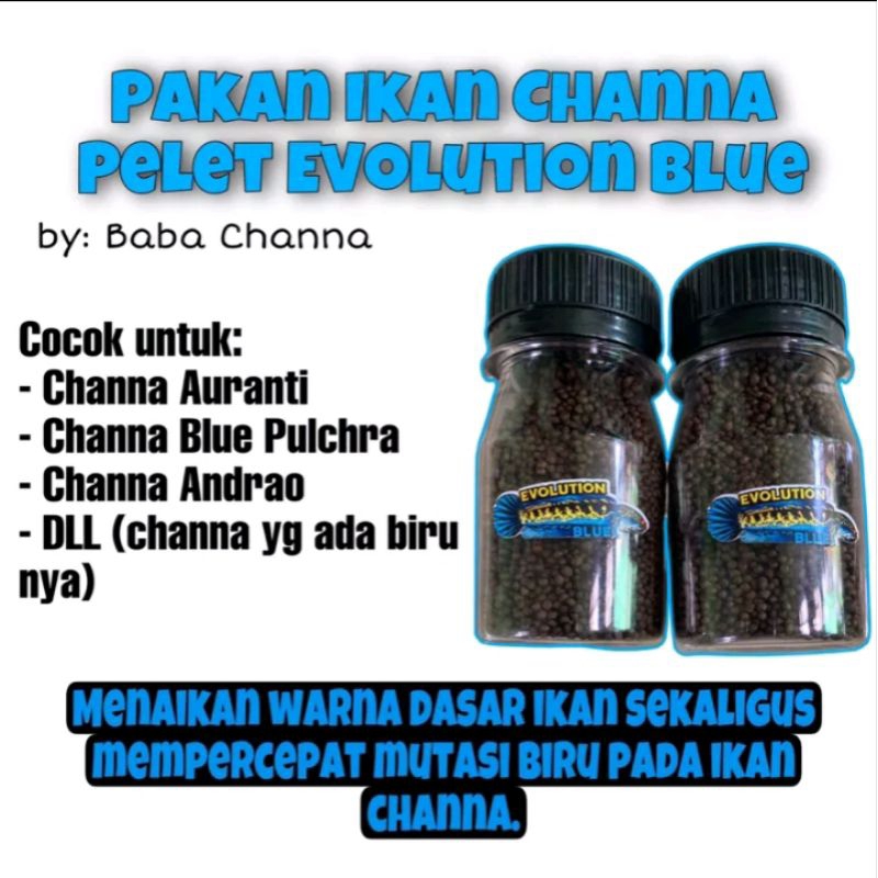 Pelet Evo Blue Pelet Evolution Blue By BABA CHANNA