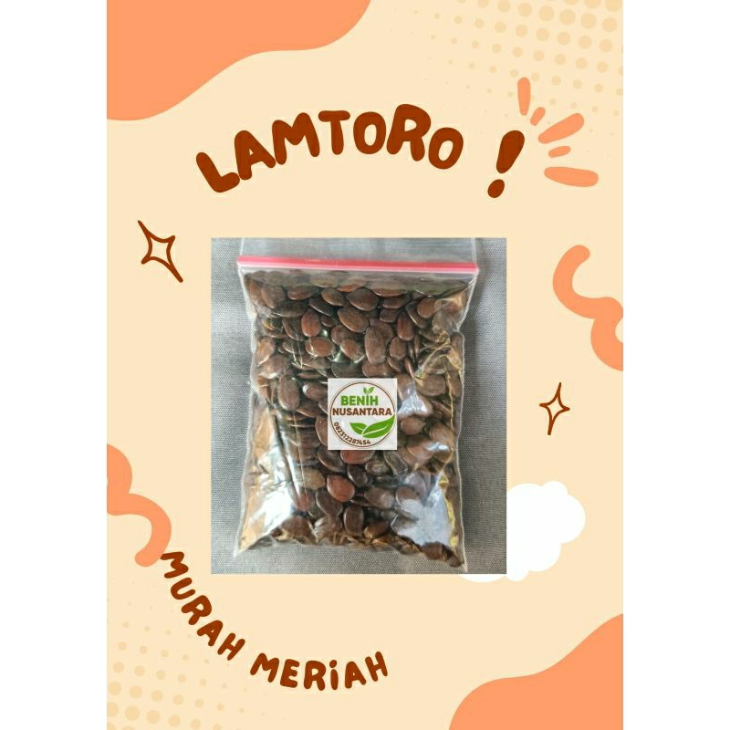 BIJI LAMTORO KERING PAKAN TERNAK