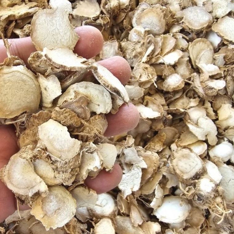 

Baru Kunyit Putih Kering 500gr - Kunir Putih Asli Original - Temu Putih Kualitas Bagus ❊Stok Banyak