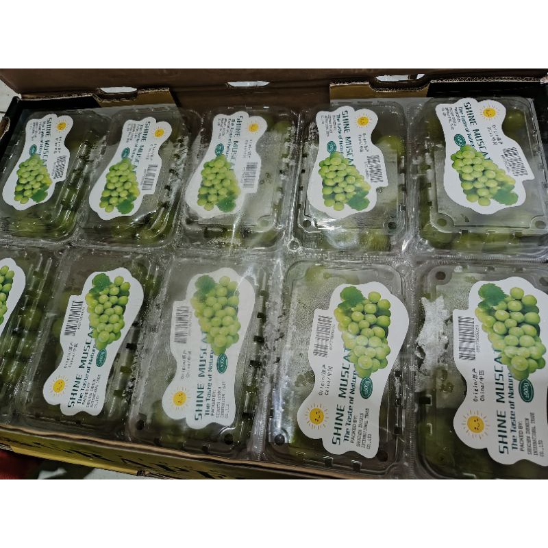 

Anggur Muscat Murah 500G