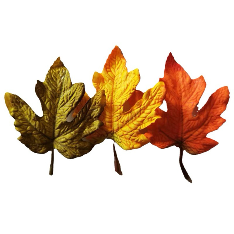 KTM Daun Maple Hiasan Buket Bunga Kering Dekorasi Rustic Mahar Craft Dried Flower