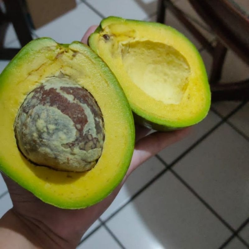 

Alpukat Mentega Muria 500gr (grade A)