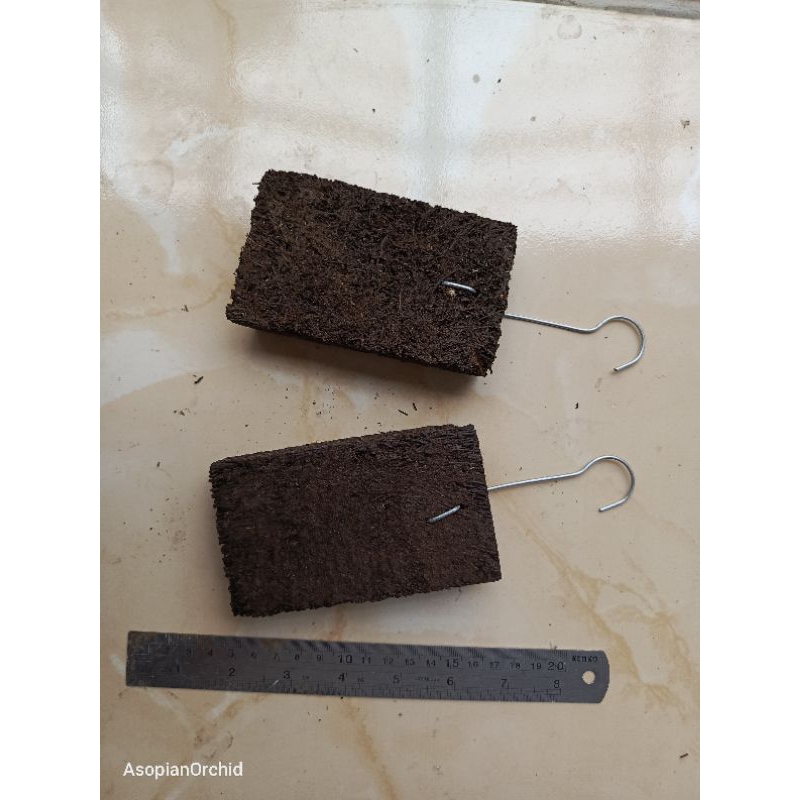 Media Anggrek / Papan Pakis