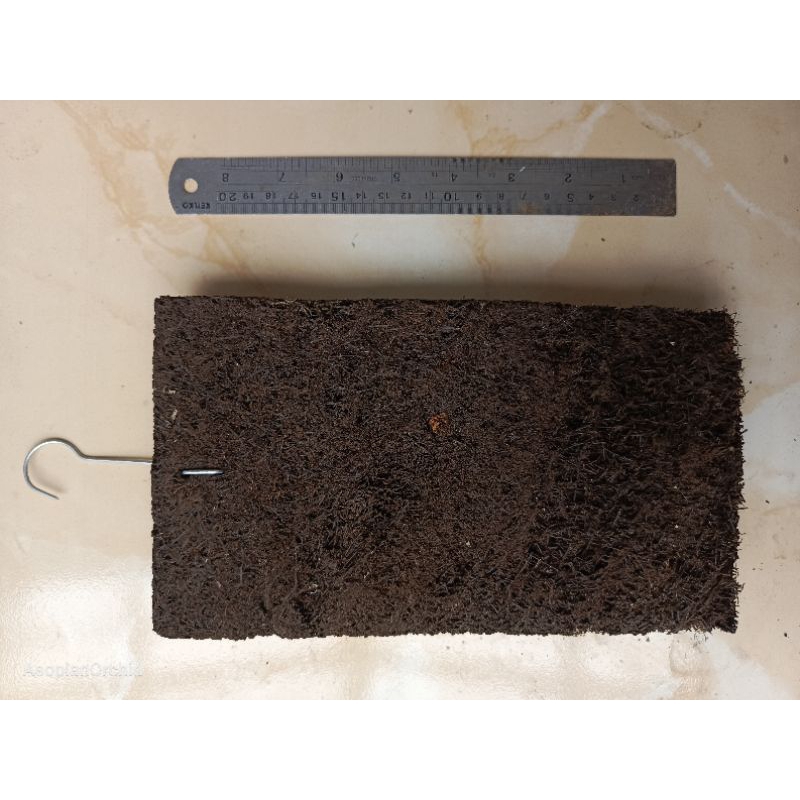 Media Anggrek / Papan Pakis /