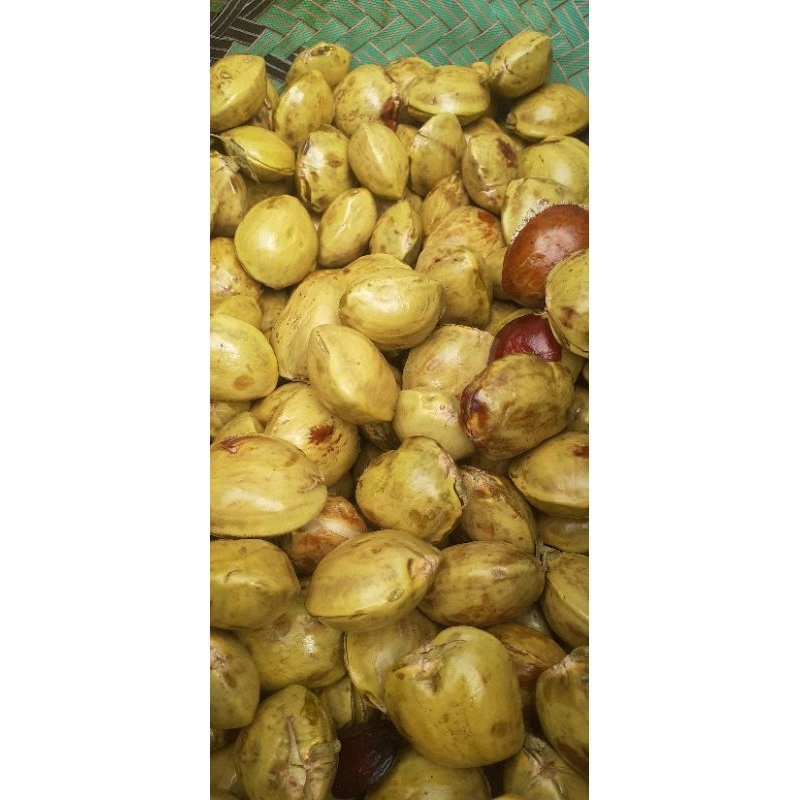 JENGKOL KUPAS tua dan muda per 1 kilogram