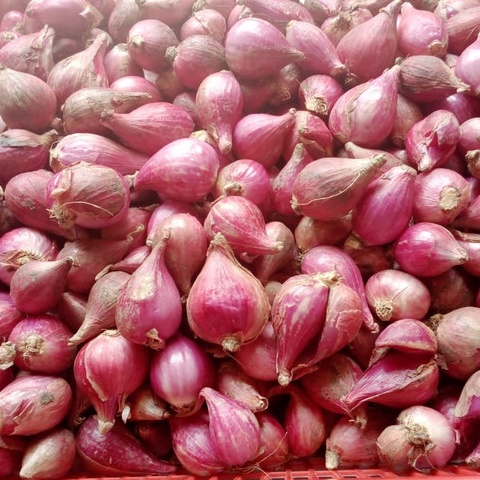 

Sup3r Pr0m0 Bawang Merah Brebes Utuh Ukuran 1Kg / 500gr Special Promo