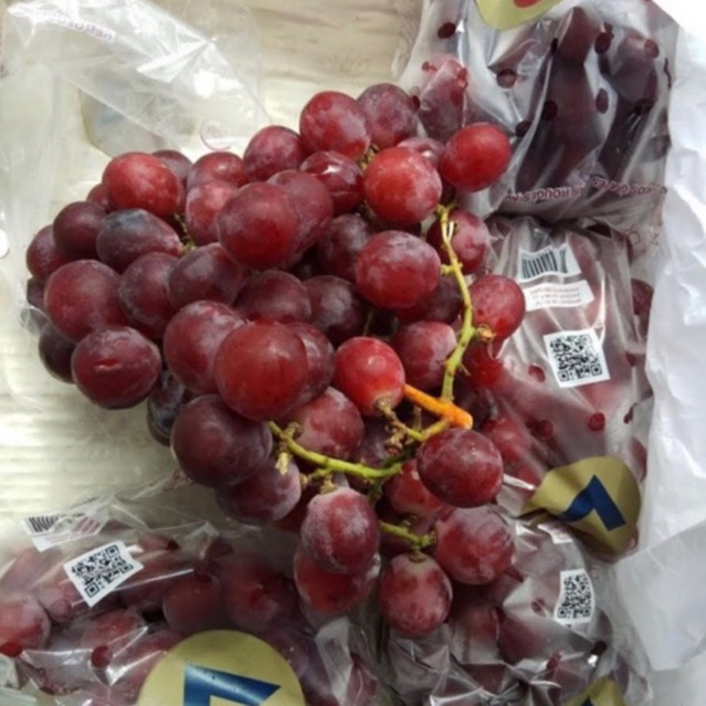 

BUAH ANGGUR MERAH PERU USA PLU 500GR JUMBO