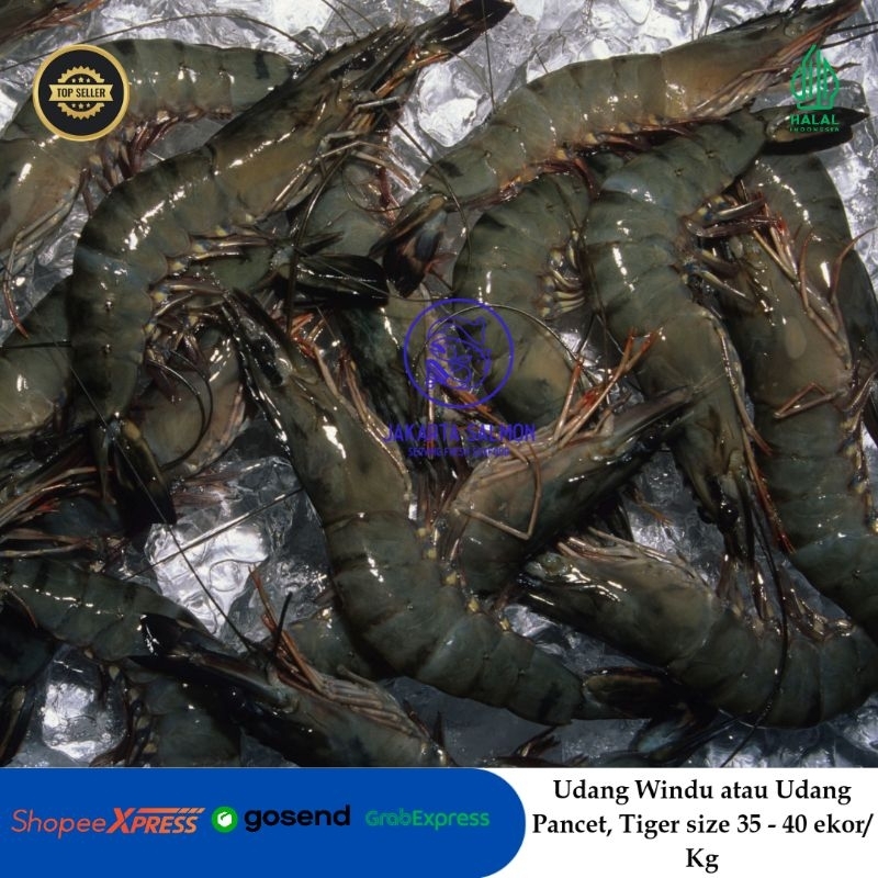 Udang Segar/ Udang Windu/ Udang Pancet/ Udang Tiger Segar Size 30