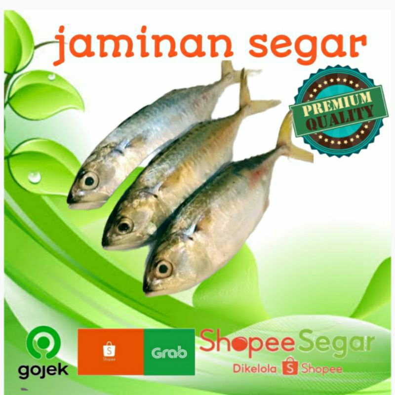 

kembung gepeng 500gr