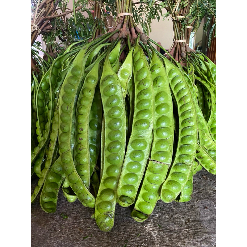 

Pete super 100 papan