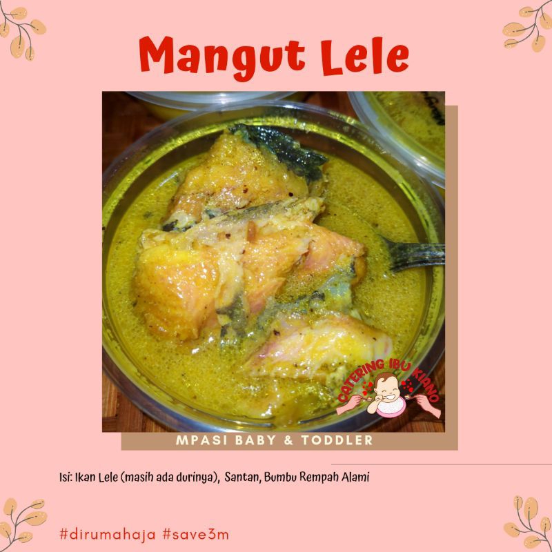Mangut Lele Catering Mpasi Bayi FROZEN