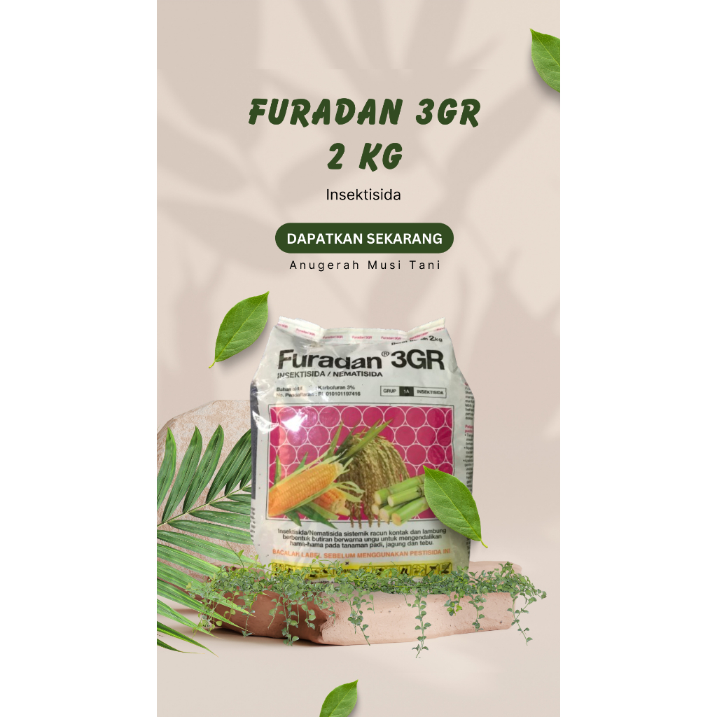 Furadan 3GR (2 Kg)