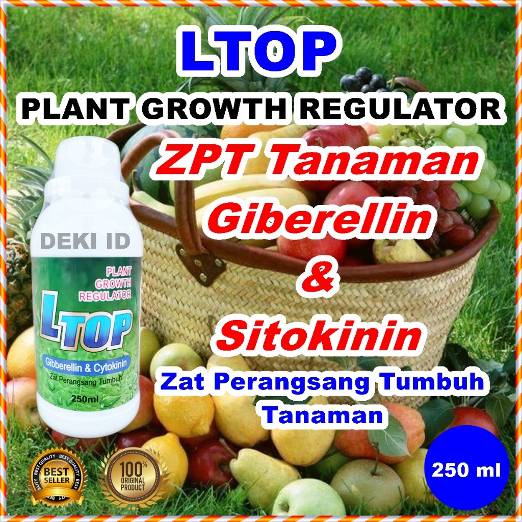 Pupuk L Top 250 Ml Zpt Ltop Giberellin Sitokinin Hormon Petumbuhan Tanaman