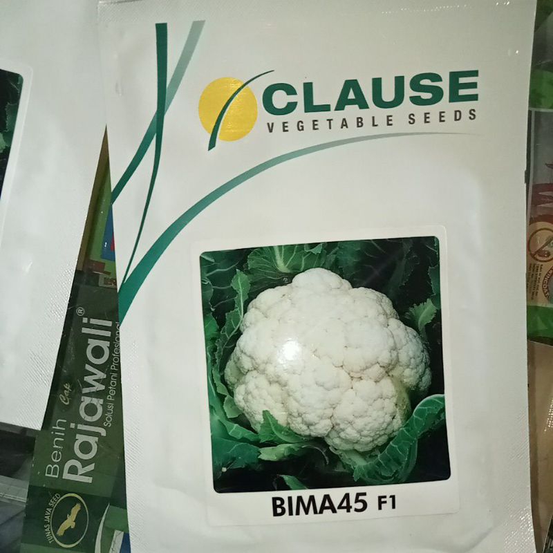 BENIH BROKOLI BIMA 45 F1(CLAUSE)