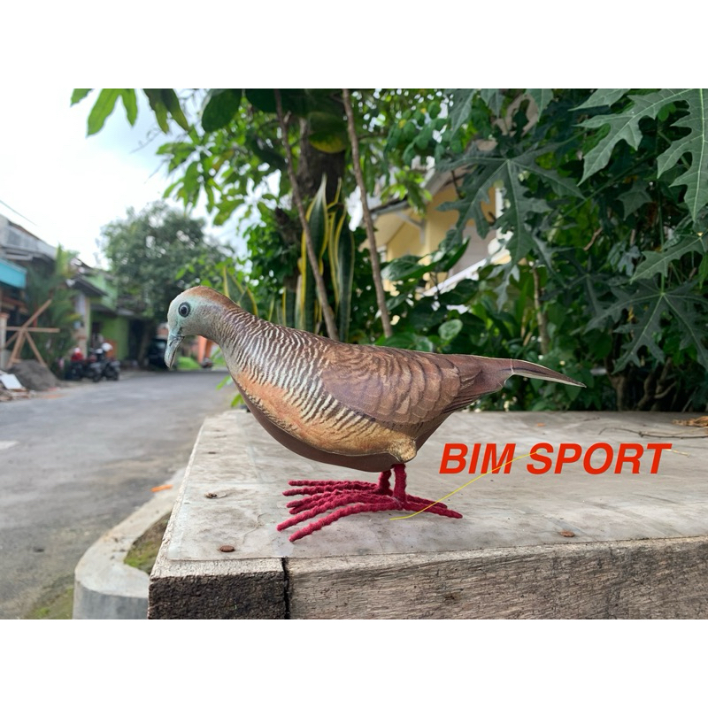 Patung Jontrot Decoy Burung Perkutut - alat pikat decoy perkutut