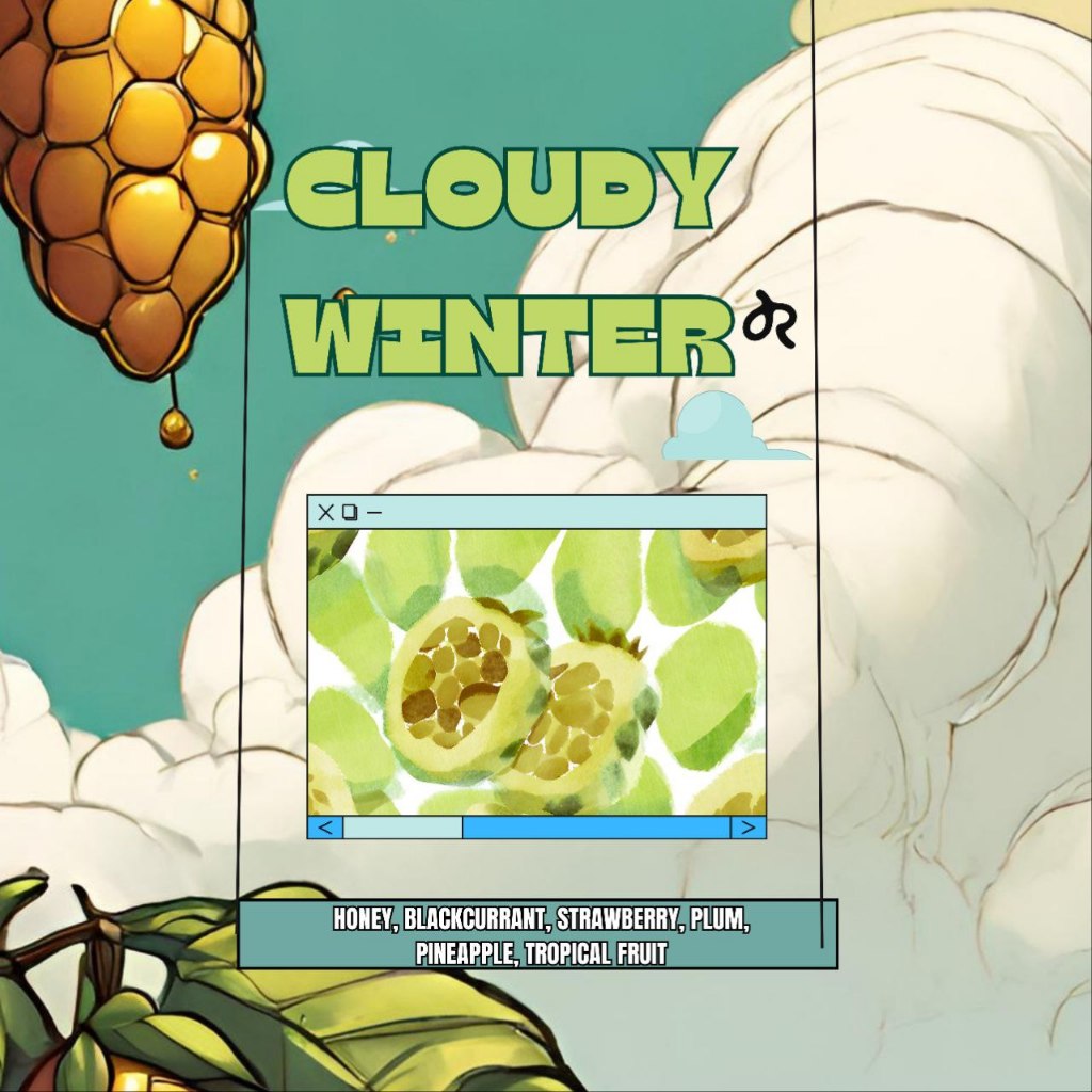 

Gayo Natural ( Winter Cloudly )