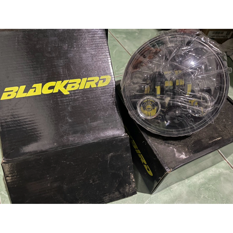 Blackbird Daymaker Terang Padat