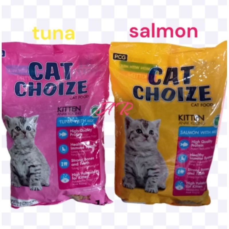 cat choice kitten