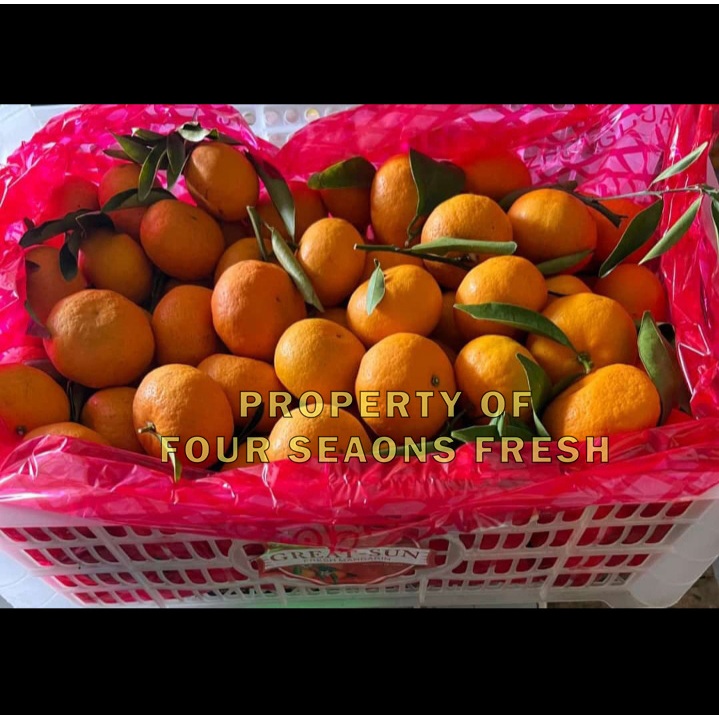 JERUK SANTANG MADU 1 KERANJANG 6 KG SEGAR BANYAK AIR