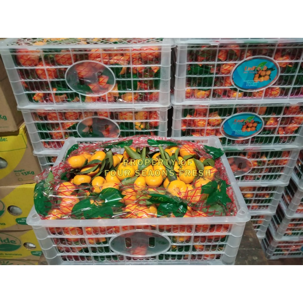 JERUK SANTANG MADU 1 KERANJANG SEGAR BANYAK AIR BERAT 6 KG HAMPERS BAGUS