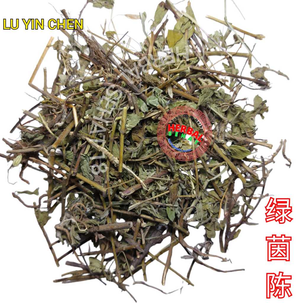 

600g Lu Yin Chen Tu Yin Chen Herba Origani Oregano Herb