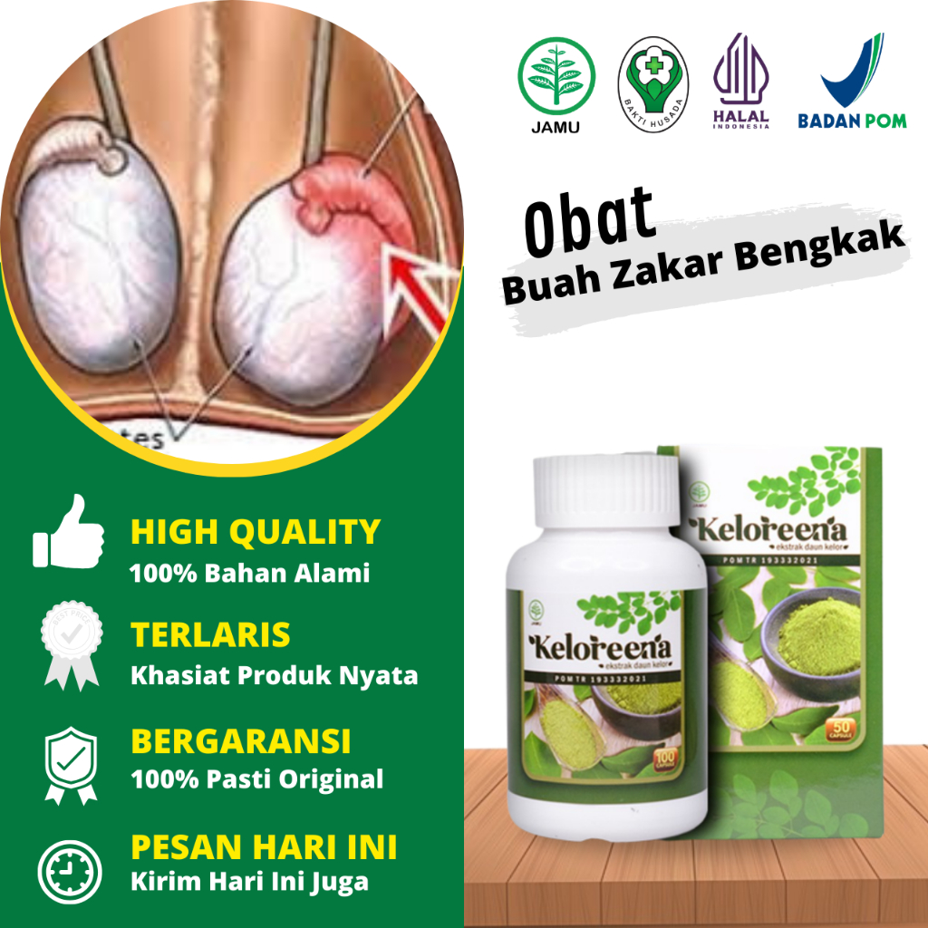 Obat Buah Zakar Bengkak Sebelah Kanan dan Kiri, Obat Benjolan Di Kantong Buah Zakar, Obat Hernia Tur