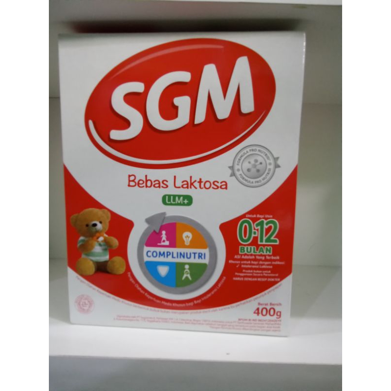 SGM.LLM+