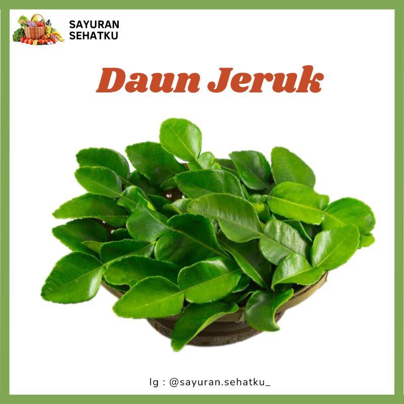

Daun Jeruk Fresh 1kg