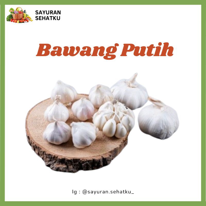

Bawang Putih Sinco