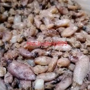 

BABY CUMI MEDAN 100 GR
