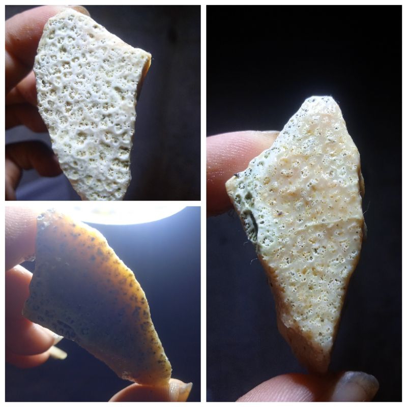 batu fosil sarang lebah kristal