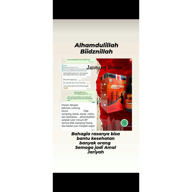 British propolis (BP) asli
